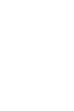 irbrs-logo