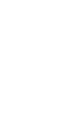 irbrs-logo